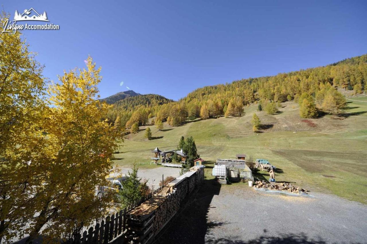 Casa Florin Giumel By Livigno Accomodation Eksteriør billede
